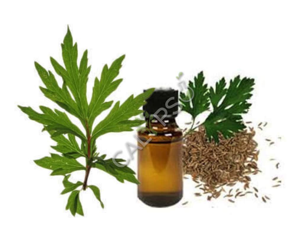 Aceite de especias de Davana
